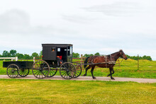 Amish Horse And Buggy Pulling Wagon