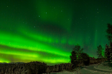aurora borealis from norway extremely beautiful