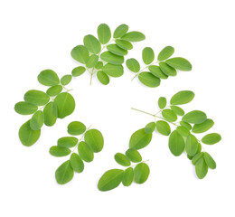 Moringa leaves have medicinal properties. top view