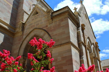 Wall Mural - University of Adelaide Building