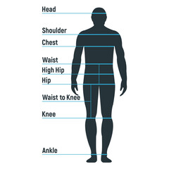 Wall Mural - Male size chart anatomy human character, people dummy front and view side body silhouette, isolated on white, flat vector illustration.