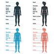 Male and female size chart anatomy human character, people dummy front and view side body silhouette, isolated on white, flat vector illustration.