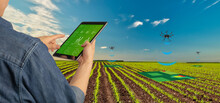 Futuristic Technology Trend In Smart Farm Agriculture Concept. Farmer Use Ai Drone To Monitor Prediction Forecast Check The Health Of Plant Field