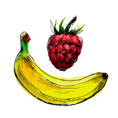 Poster - vector of raspberries and bananas. Hand-drawn and colored illustration