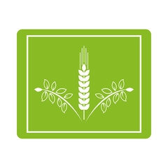 Poster - spikes plants organic product icon