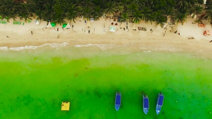 Wall Mural - An aerial view of the tropical beaches of West Bay in Roatan, Honduras. 