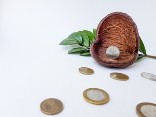 Belarusian coins on a white background made of alloy of metals and copper. Against the background of brown dried flower and green leaves. Belarus, ruble, is written on the coin in Belarusian.