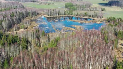 Wall Mural - Aerial shot flying away from lake between forest and fields