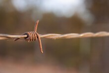 Close-up Of Barbed Wire