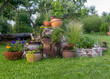 © ANDA - summer picture from the garden, decorative plants in flower pots, garden decor, summer garden