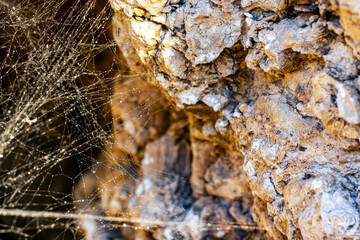 spider web on rocks and cave entrance, natural patern. wild life concept background