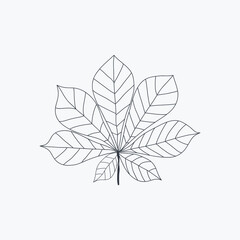 Chestnut leaf icon isolated on white. Vector Illustration