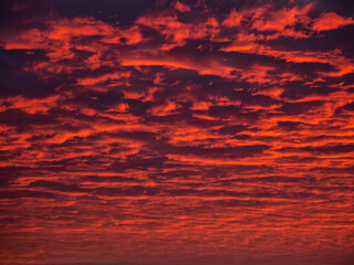 Red evening sky. Colorful cloudy sky at sunset. Sky texture, abstract nature background