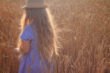 Adorable little girl in a straw hat and blue plaid summer dress in wheat field. Child with long blonde wavy hair on countryside landscape with spikelet in hand. Farming agriculture harvesting concept.