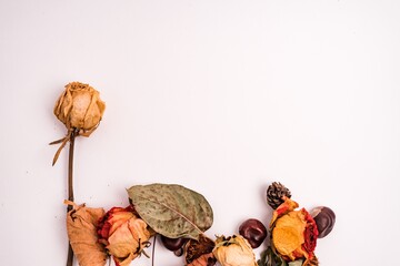 Sticker - Closeup shot of dried flowers and leaves isolated on a white background