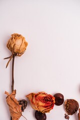 Sticker - Closeup shot of dried flowers and leaves isolated on a white background