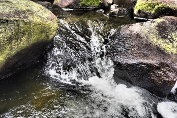 Wall Mural - Closeup of a river flowing between two big rocks