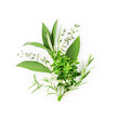 © ifiStudio - Rosemary, marjoram, sage and thyme composition
