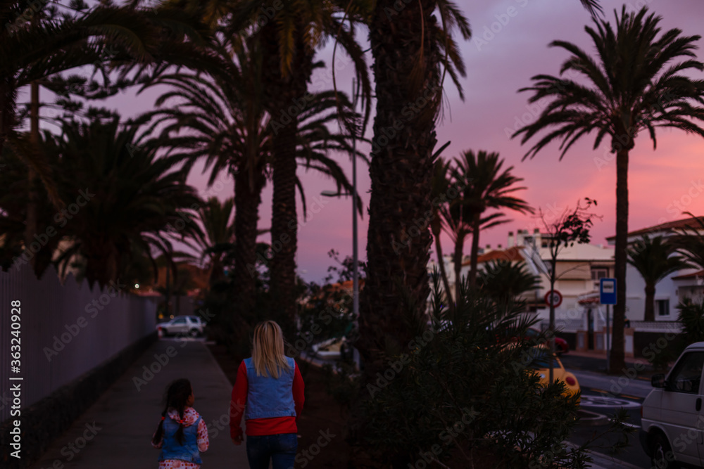 las galletas road, canary island of Tenerife at sunset - obrazy, fototapety, plakaty 