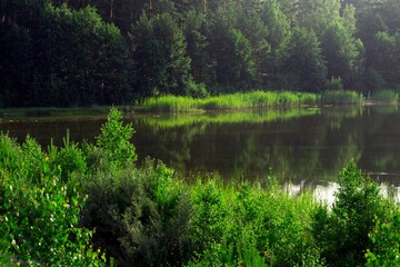 Beautiful landscape of the lake.