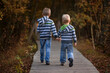 © Michaela - Two brothers walking in the forest on the wooden pathway, siblings hold hands, back view
