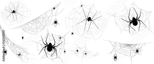 Cuadros en Lienzo Collection of Spider, cobweb, isolated on black, transparent background