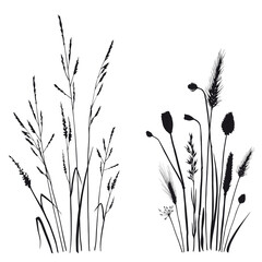 floral compositions with wild herbs and flowers.