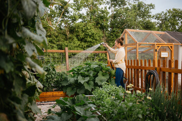 Gardener watering beautiful vegetable garden with hose