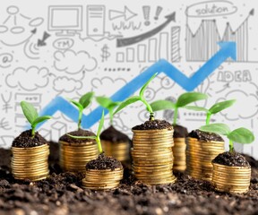 Poster - Coins in soil with young plants on infographic background