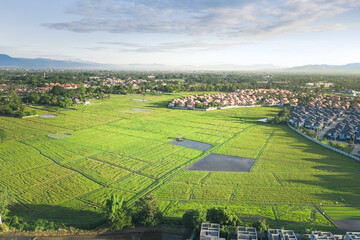 Land, landscape of green field in aerial view. Include agriculture farm, house building, village. That real estate or property. Plot of land to housing subdivision, development, sale or investment.