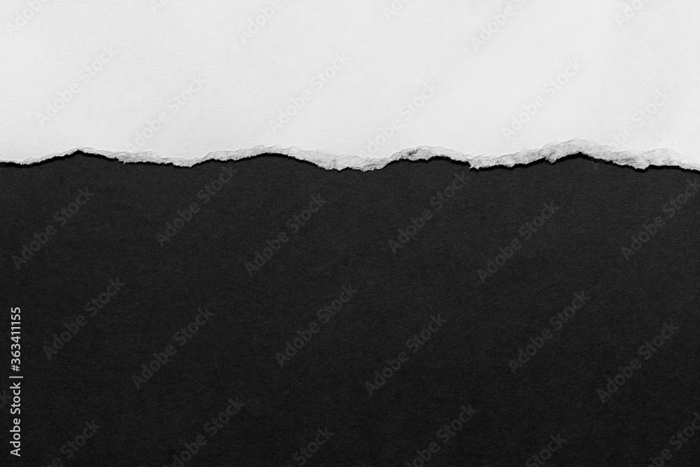 W Ripped Paper White ripped paper Stock Photo | Adobe Stock