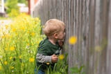 Fototapeta Tulipany - beautiful kid walks among the grass in the countryside