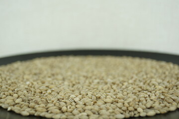 seeds in a bowl