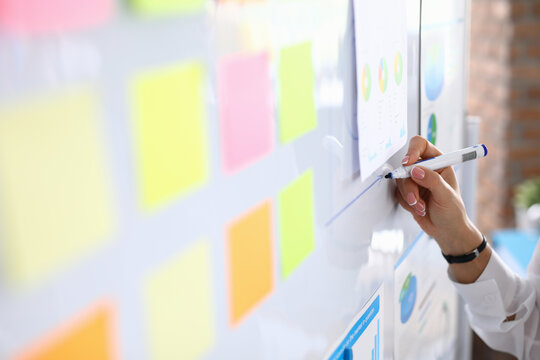 woman draws charts on white board and holds presentation. small and medium business development and 