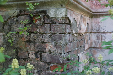 old brick wall