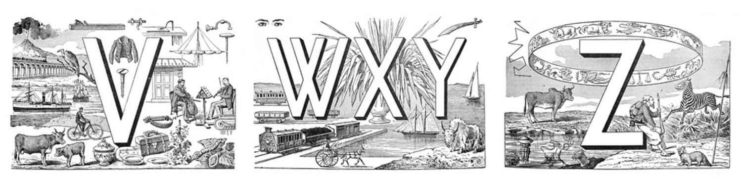 English alphabet VWXY with mixed illustrations animals and decoration hand drawn ABC / Antique illustration from Petit Larousse 1914