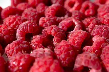 a lot of sweet fresh red raspberries on a plate from the market or garden