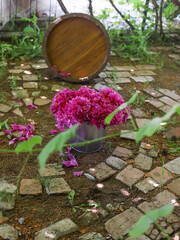 Wall Mural - flower bed in a garden