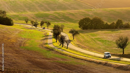 Fotomural Traveling By Car In Spring Undulating Fields Of South Moravia In The Evening Light