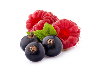 Wall Mural - Black currant berries with raspberries on White Background. Ripe berries isolated.