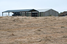 Farmyard Barn With Dried Grass Fodder