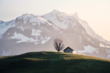 Sticker - Horizontal shot of a cabin in a rural area on a mountain with a beautiful view