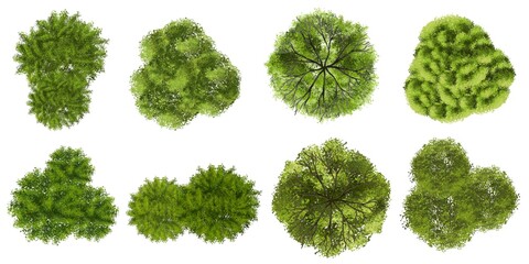 Wall Mural - set of tree top view for landscape plan and architecture element