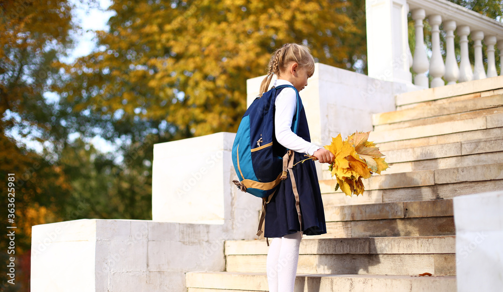 Back to elementary school. Little girl with pigtails in blue uniform ...
