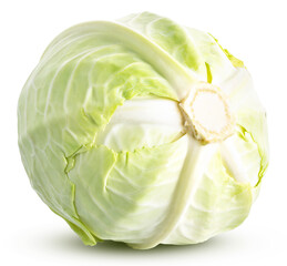 Sticker - cabbage isolated on white background