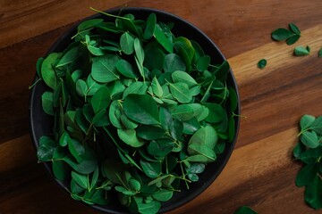 Wall Mural - Fresh Moringa or Muringa leaves with copy space