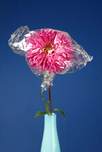 Flower In Plastic. Plastic Pollution Concept.