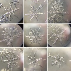 
snow under the microscope