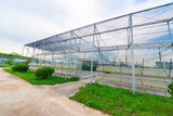 Fototapeta  - The greenhouse of modern agriculture is under the blue sky and white clouds.