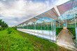 © 一飞 黄 - The greenhouse of modern agriculture is under the blue sky and white clouds.
